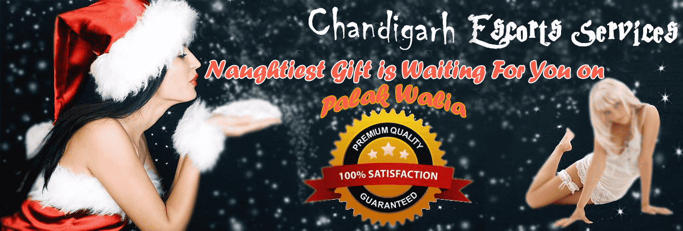 Chandigarh Escort Girl Banner
